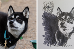 Poorly Drawn Pets-Website Template - 1