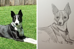 Poorly Drawn Pets-Website Template - 1