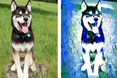 Poorly Drawn Pets-Website Template - 1