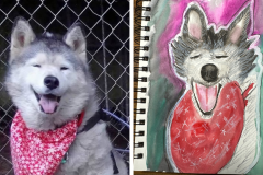 Poorly Drawn Pets-Website Template - 1