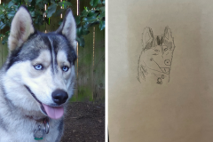 Poorly Drawn Pets-Website Template - 1