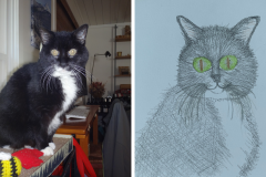 Poorly Drawn Pets-Website Template - 1