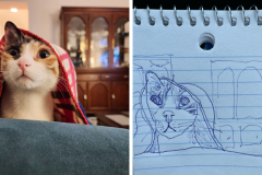 Poorly Drawn Pets-Website Template - 1