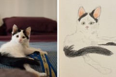 Poorly Drawn Pets-Website Template - 1