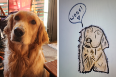 Poorly Drawn Pets-Website Template - 1