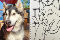 Poorly Drawn Pets-Website Template - 1