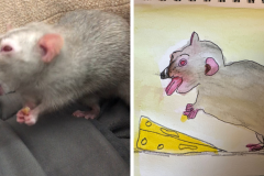 Poorly Drawn Pets-Website Template - 1