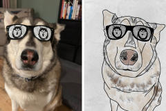 Poorly Drawn Pets-Website Template - 1