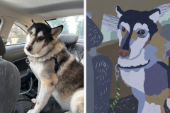 Poorly Drawn Pets-Website Template - 1