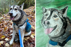 Poorly Drawn Pets-Website Template - 1