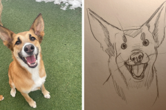 Poorly Drawn Pets-Website Template - 1