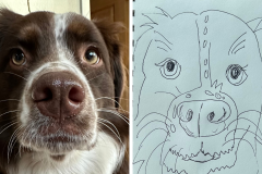Poorly Drawn Pets-Website Template - 1