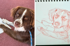 Poorly Drawn Pets-Website Template - 1