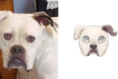 Poorly Drawn Pets-Website Template - 1