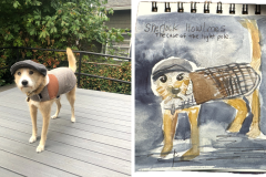 Poorly Drawn Pets-Website Template - 1