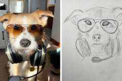 Poorly Drawn Pets-Website Template - 1