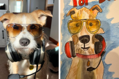 Poorly Drawn Pets-Website Template - 1