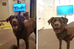 Poorly Drawn Pets-Website Template - 1