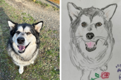 Poorly Drawn Pets-Website Template - 1