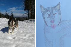 Poorly Drawn Pets-Website Template - 1