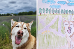 Poorly Drawn Pets-Website Template - 1