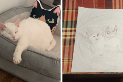 Poorly Drawn Pets-Website Template - 1