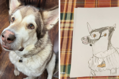 Poorly Drawn Pets-Website Template - 1