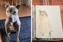 Poorly Drawn Pets-Website Template - 1