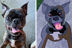 Poorly Drawn Pets-Website Template - 1