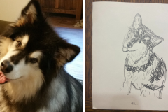 Poorly Drawn Pets-Website Template - 1