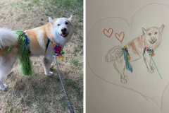 Poorly Drawn Pets-Website Template - 1