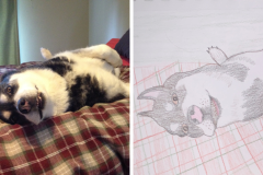Poorly Drawn Pets-Website Template - 1