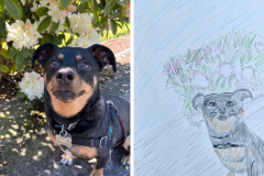 Poorly Drawn Pets-Website Template - 1