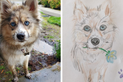 Poorly Drawn Pets-Website Template - 1