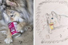 Poorly Drawn Pets-Website Template - 1