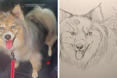 Poorly Drawn Pets-Website Template - 1