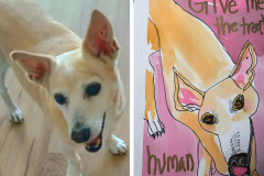 Poorly Drawn Pets-Website Template - 1