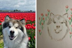 Poorly Drawn Pets-Website Template - 1