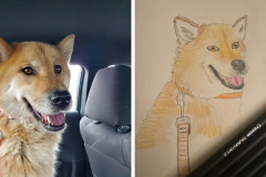 Poorly Drawn Pets-Website Template - 1
