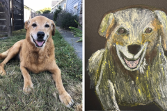 Poorly Drawn Pets-Website Template - 1
