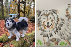 Poorly Drawn Pets-Website Template - 1