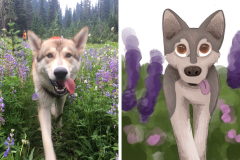 Poorly Drawn Pets-Website Template - 1