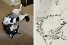Poorly Drawn Pets-Website Template - 1