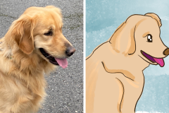 Poorly Drawn Pets-Website Template - 1
