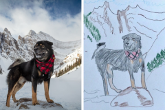 Poorly Drawn Pets-Website Template - 1