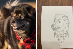 Poorly Drawn Pets-Website Template - 1