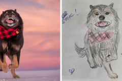 Poorly Drawn Pets-Website Template - 1