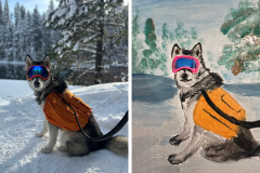 Poorly Drawn Pets-Website Template - 1