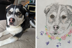 Poorly Drawn Pets-Website Template - 1