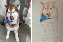 Poorly Drawn Pets-Website Template - 1